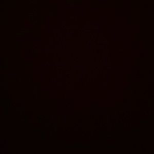 Meet your Posher, Abbie